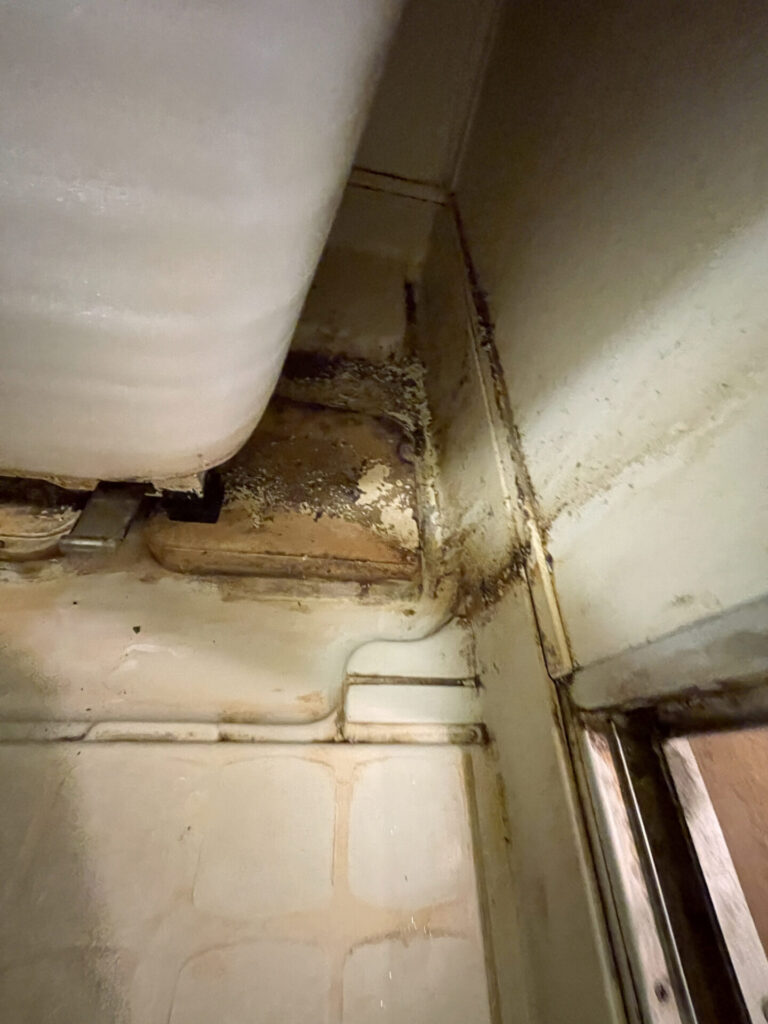 浴室クリーニング 床のbefore