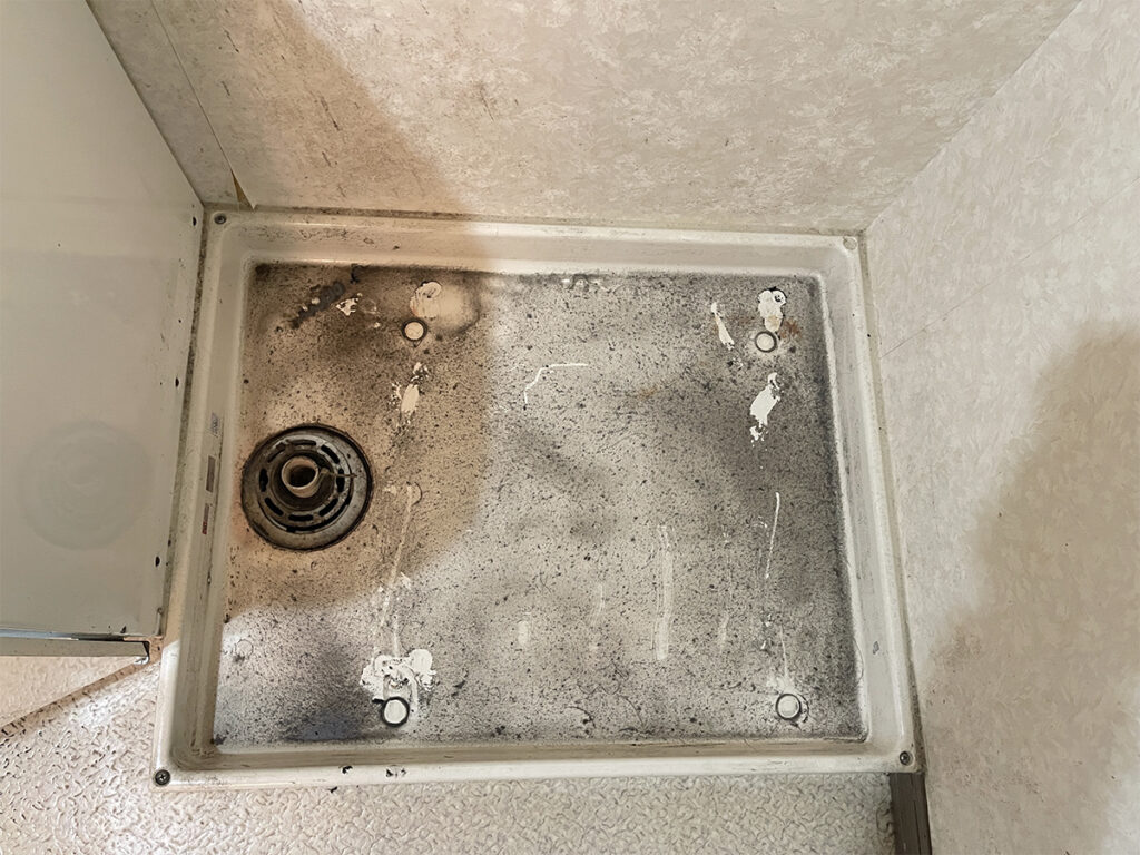 防水パンの掃除前