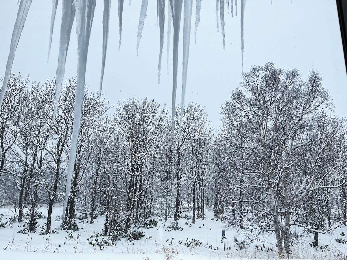 北海道の冬。屋根から氷柱が下がり、外は雪が降り積もっている。